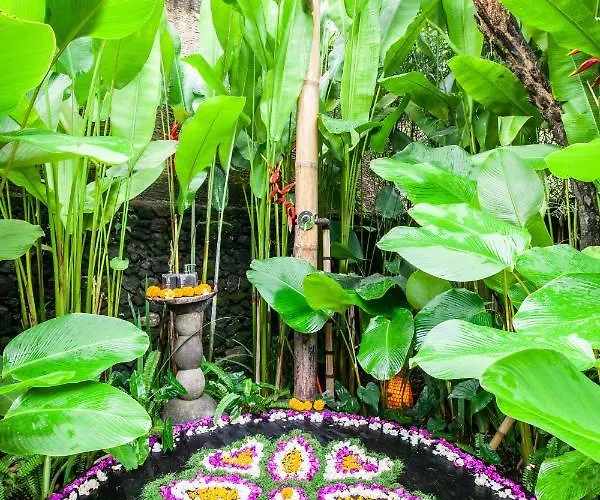 Balikayanas Bamboo House - Miggiell House Villa *