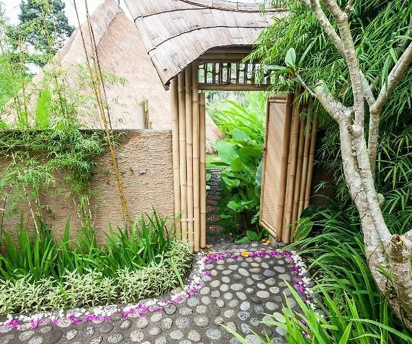 Balikayanas Bamboo House - Miggiell House *