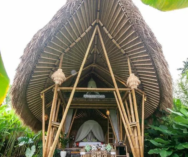 Balikayanas Bamboo House - Miggiell House Villa