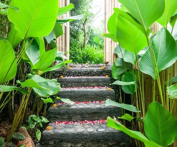 Balikayanas Bamboo House - Miggiell House Karangasem